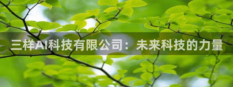 三样AI科技有限公司：未来科技的力量