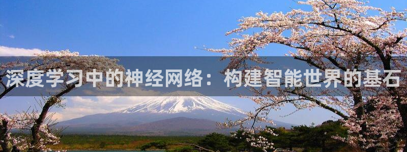 深度学习中的神经网络：构建智能世界的基石