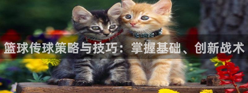 篮球传球策略与技巧：掌握基础、创新战术