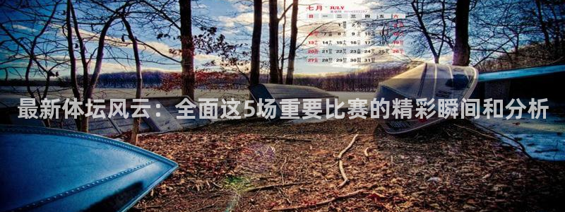 最新体坛风云：全面这5场重要比赛的精彩瞬间和分析