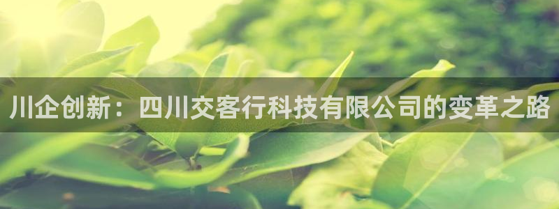 川企创新：四川交客行科技有限公司的变革之路