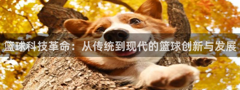 篮球科技革命：从传统到现代的篮球创新与发展