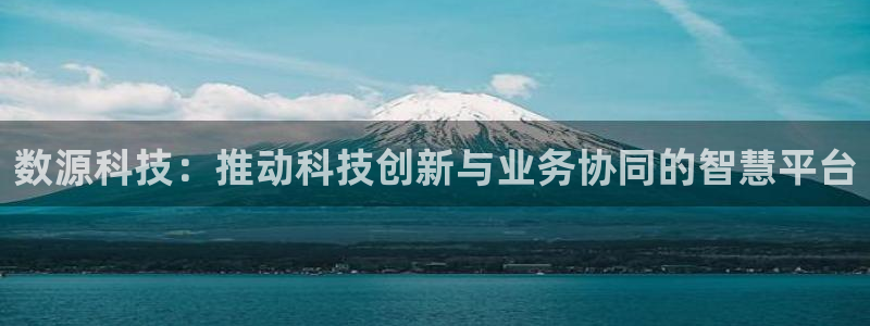 数源科技：推动科技创新与业务协同的智慧平台