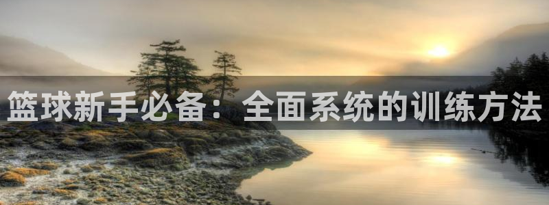 篮球新手必备：全面系统的训练方法