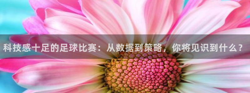 科技感十足的足球比赛：从数据到策略，你将见识到什么？