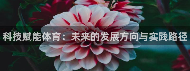 科技赋能体育：未来的发展方向与实践路径