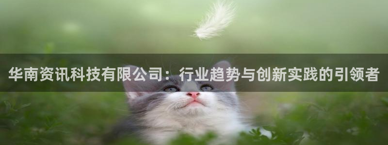 华南资讯科技有限公司：行业趋势与创新实践的引领者