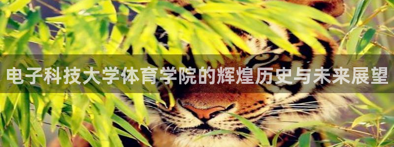 电子科技大学体育学院的辉煌历史与未来展望