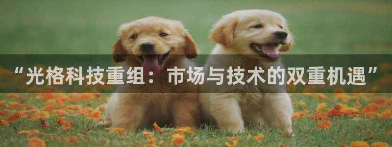 “光格科技重组：市场与技术的双重机遇”
