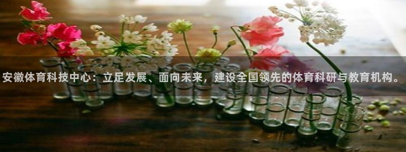 安徽体育科技中心：立足发展、面向未来，建设全国领先的体育科研与教育机构。
