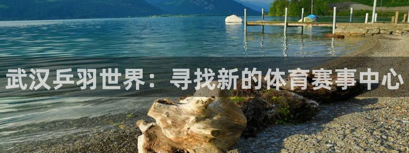 武汉乒羽世界：寻找新的体育赛事中心