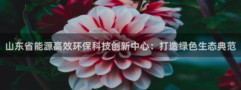 山东省能源高效环保科技创新中心：打造绿色生态典范